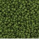 Miyuki delica beads 11/0 - Opaque matte avocado DB-1585